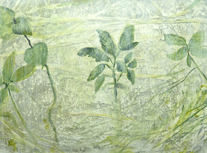 Gesso 91 (Herbarium)), 2025