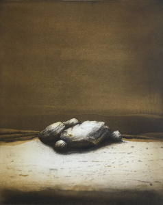 Naturobjekt, 1979