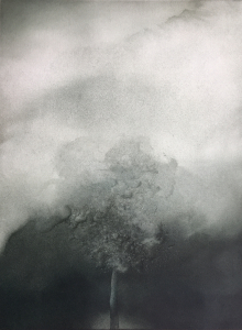 Baum in einer Regenwolke, 1976