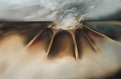 Vulkan-Architektur, 1976